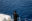 Person mit schwarzem Pullover blickt von Bord der Humanity 1 auf das Meer.
